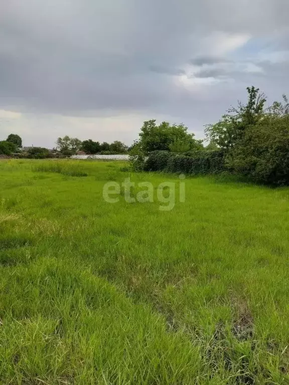 Участок в Ростовская область, Неклиновский район, Поляковское с/пос, ... - Фото 1