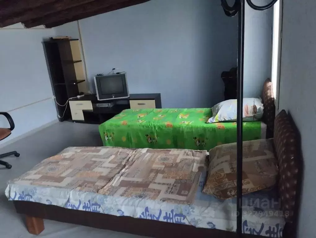 Дом в Московская область, Орехово-Зуевский городской округ, д. Велино ... - Фото 1