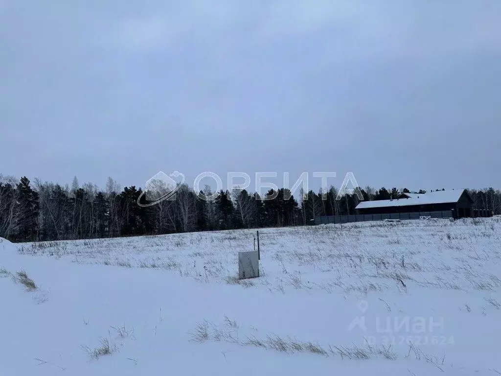 Участок в Тюменская область, Тюменский район, с. Кулаково  (13.0 сот.) - Фото 1