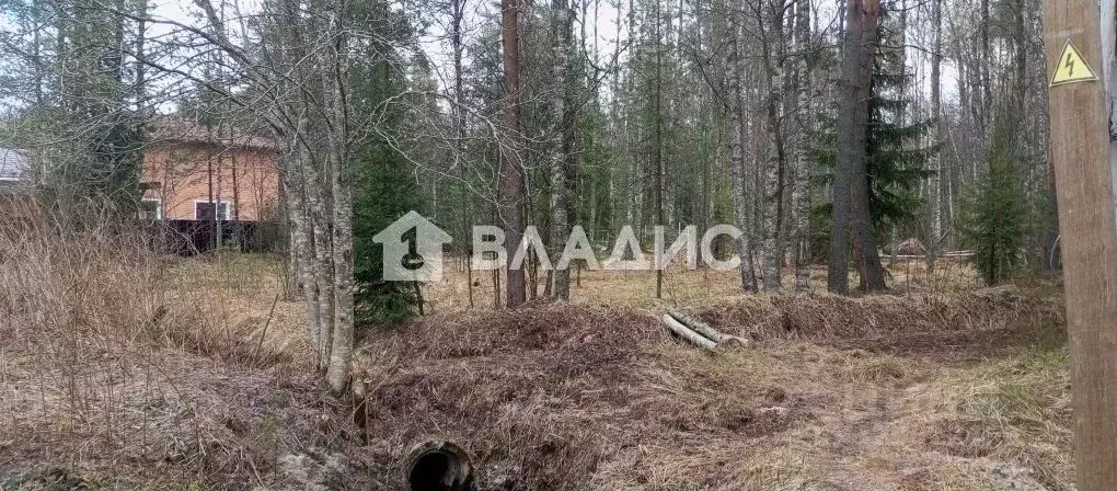Участок в Карелия, Прионежский муниципальный район, с. Деревянное ул. ... - Фото 2