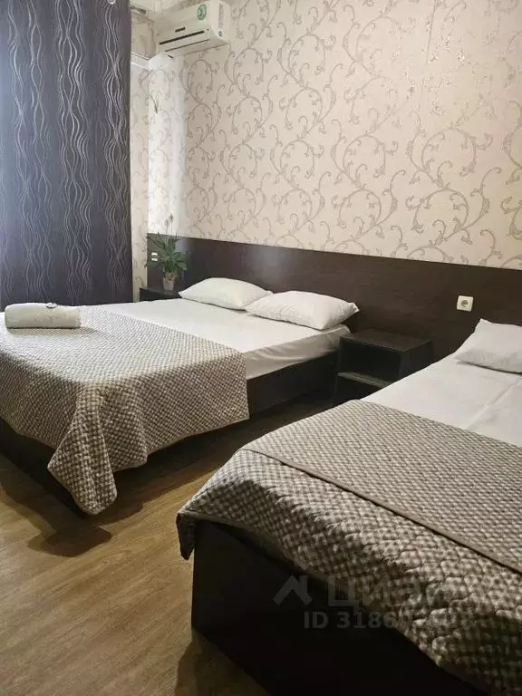 Комната Краснодарский край, Анапа муниципальный округ, с. Витязево ул. ... - Фото 2