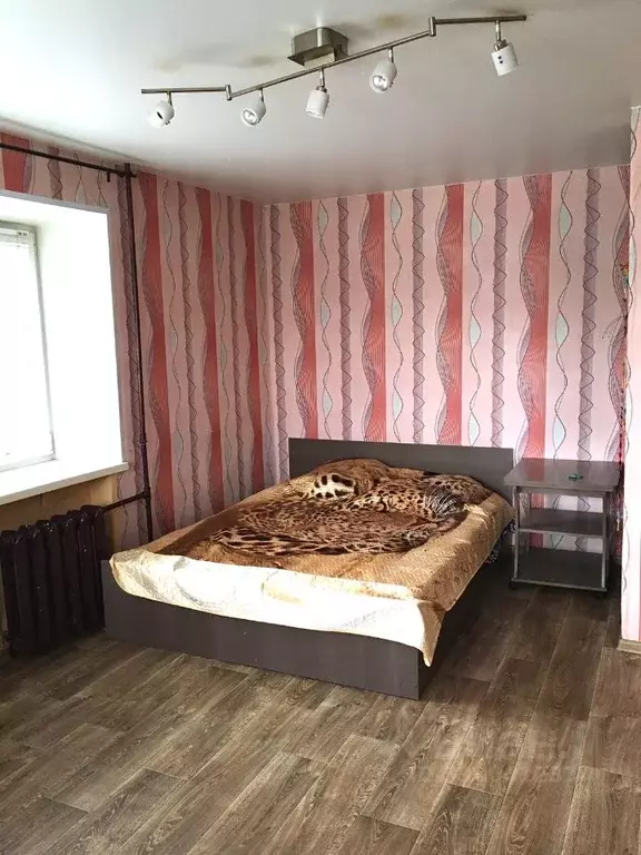 1-к кв. Нижегородская область, Дзержинск просп. Чкалова, 49А (31.0 м) - Фото 2