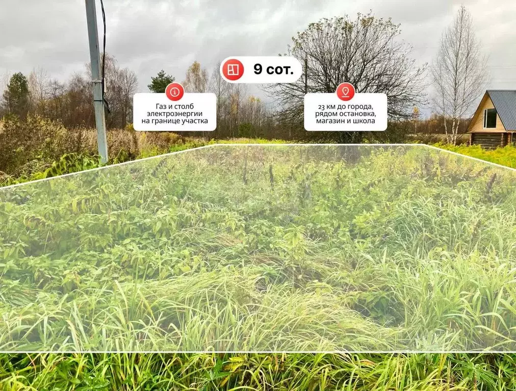 Участок в Костромская область, Нерехтский район, Воскресенское с/пос, ... - Фото 1