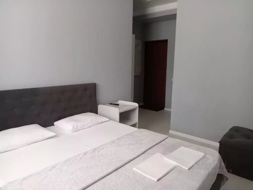 Студия Краснодарский край, Сочи Мамайка мкр, ул. Загородная, 5/4 (24.0 ... - Фото 1