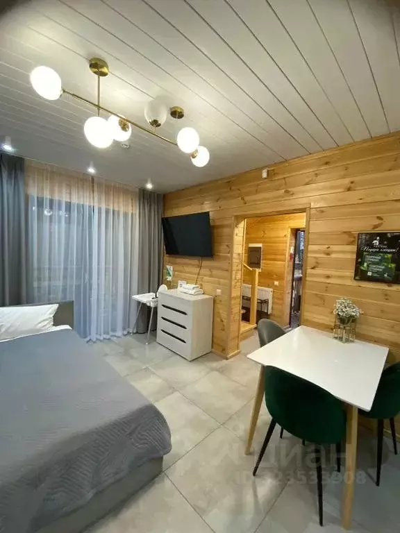 Дом в Челябинская область, Миасский городской округ, пос. Тургояк  (45 ... - Фото 2