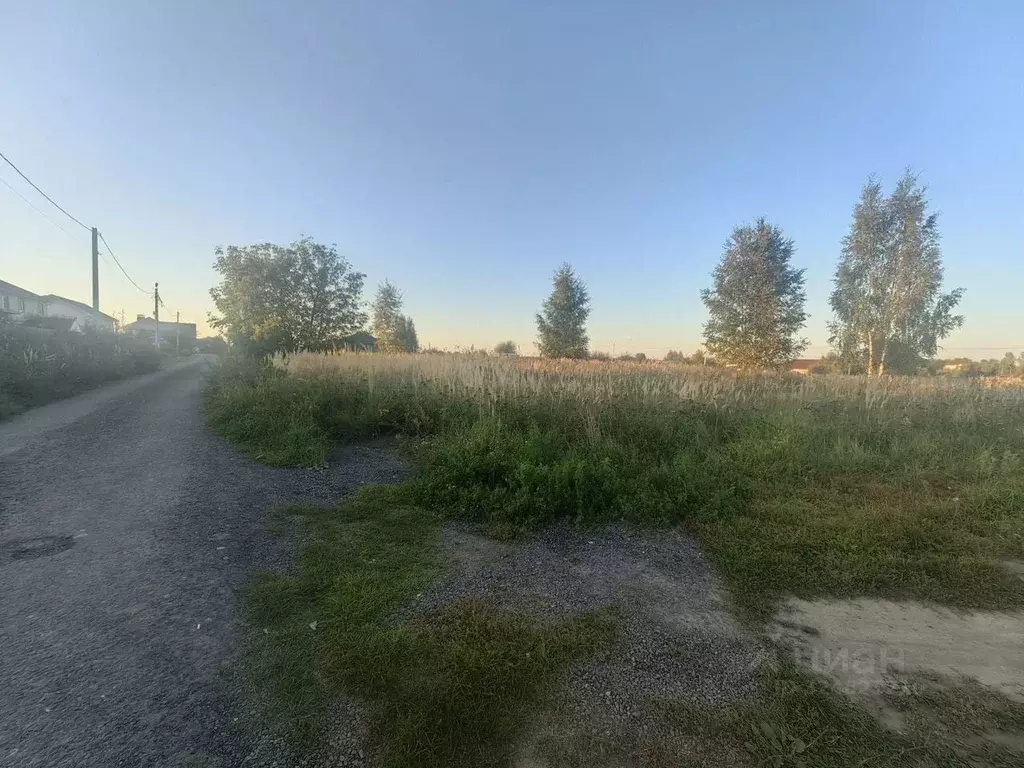 Участок в Московская область, Богородский городской округ, д. Большое ... - Фото 2