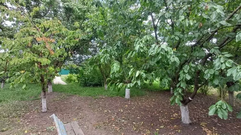 Участок в Краснодарский край, Динской район, Новотитаровская ст-ца ул. ... - Фото 2