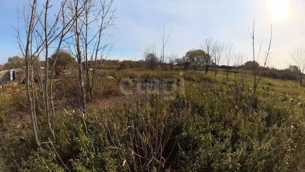 Участок в Хабаровский край, Хабаровский район, с. Краснореченское, ... - Фото 2