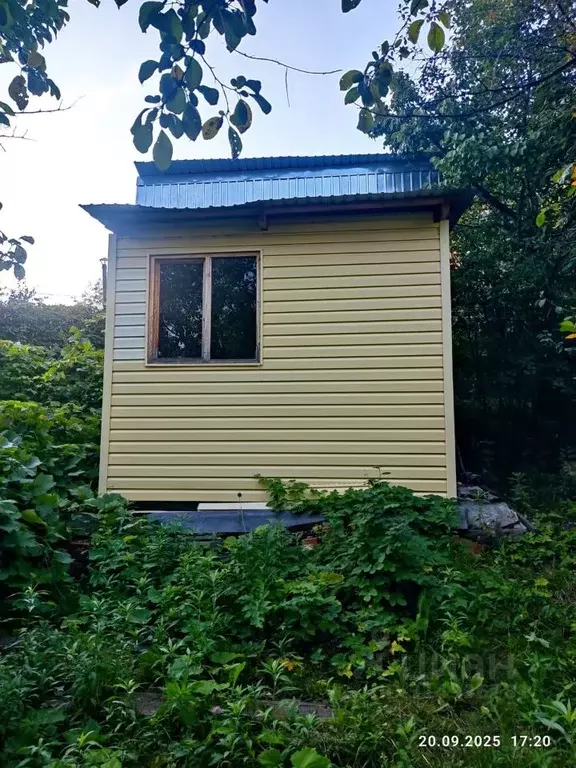 Дом в Чувашия, Моргаушский муниципальный округ, д. Анаткасы ... - Фото 2
