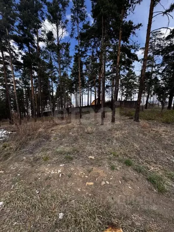Участок в Бурятия, Улан-Удэ Перспектива ДНТ, ул. Красивая, 2 (10.0 ... - Фото 0