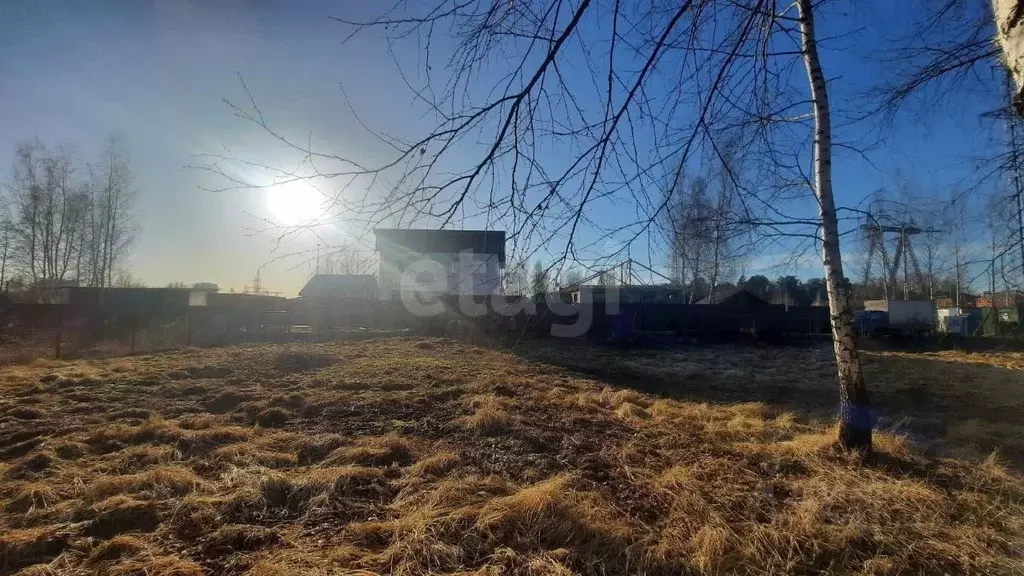 Участок в Московская область, Пушкинский городской округ, пос. Лесные ... - Фото 0