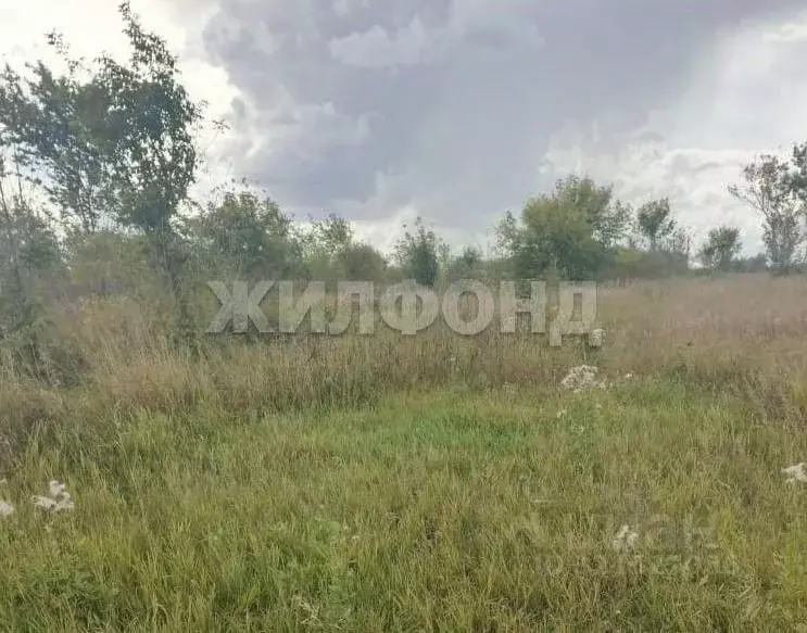 Участок в Алтайский край, Павловский район, пос. Прутской  (15.0 сот.) - Фото 1