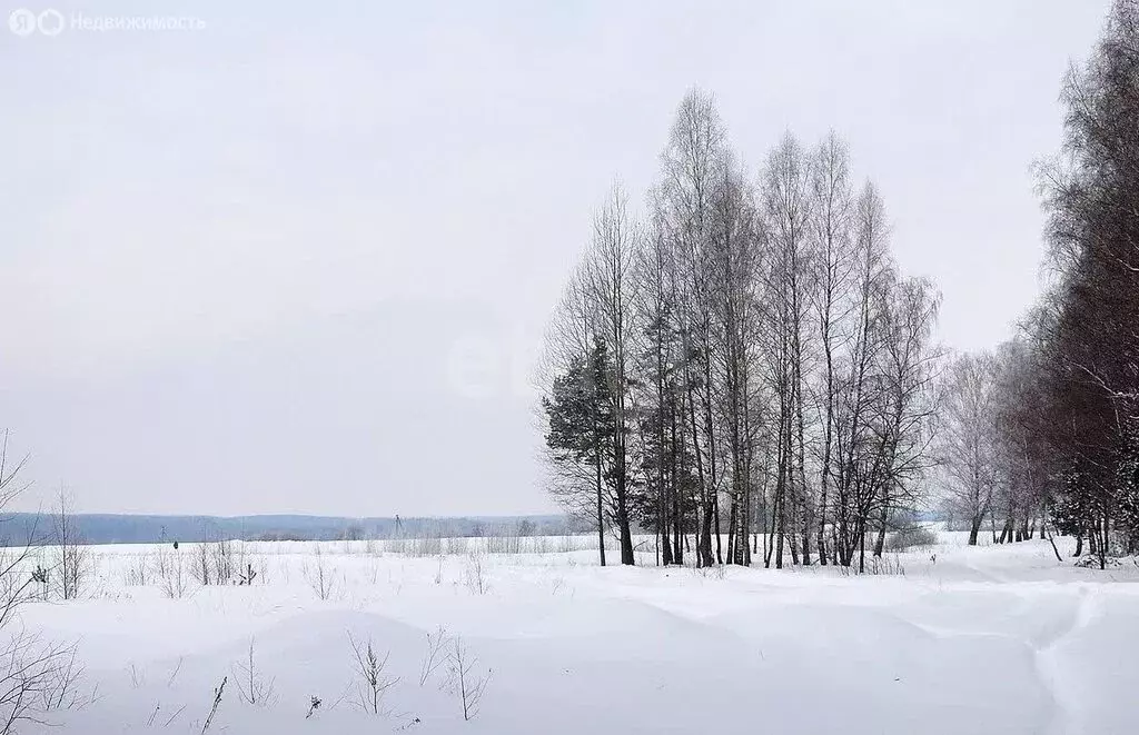 Участок в Тульская область, городской округ Тула, село Борщевка (100 ... - Фото 2