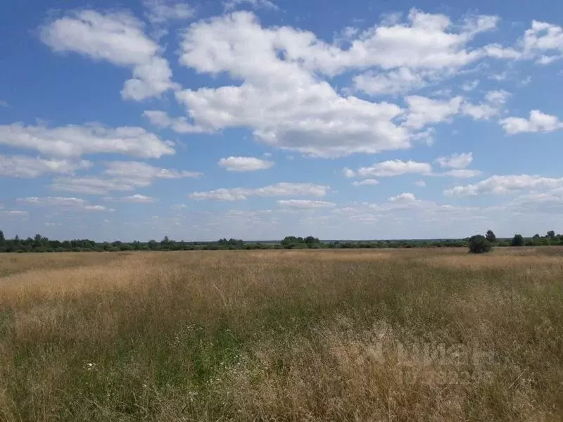 Участок в Новгородская область, Новгородский район, д. Зарелье  (18.0 ... - Фото 1