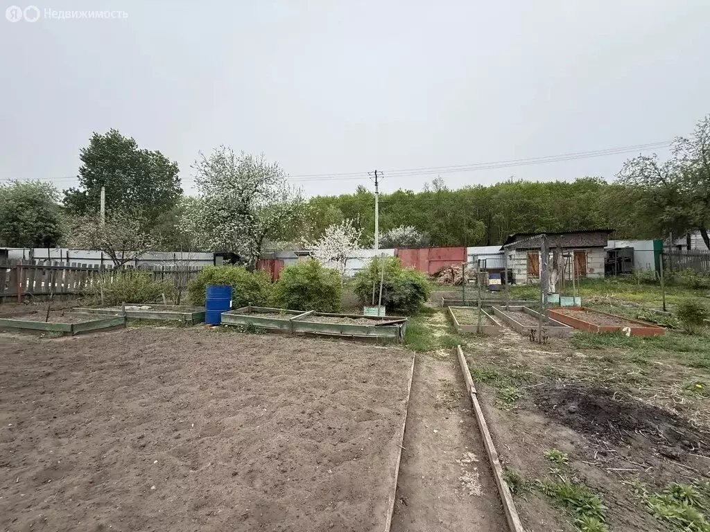 Дом в Благовещенск, СНТ Багульник (55.9 м) - Фото 2