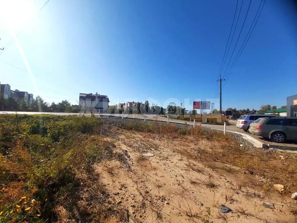 Участок в Новосибирская область, Новосибирский район, Морской ... - Фото 1