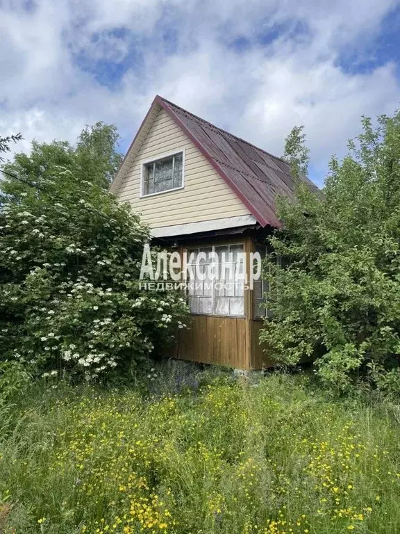 Дом в Ленинградская область, Выборгский район, Рощинское городское ... - Фото 2