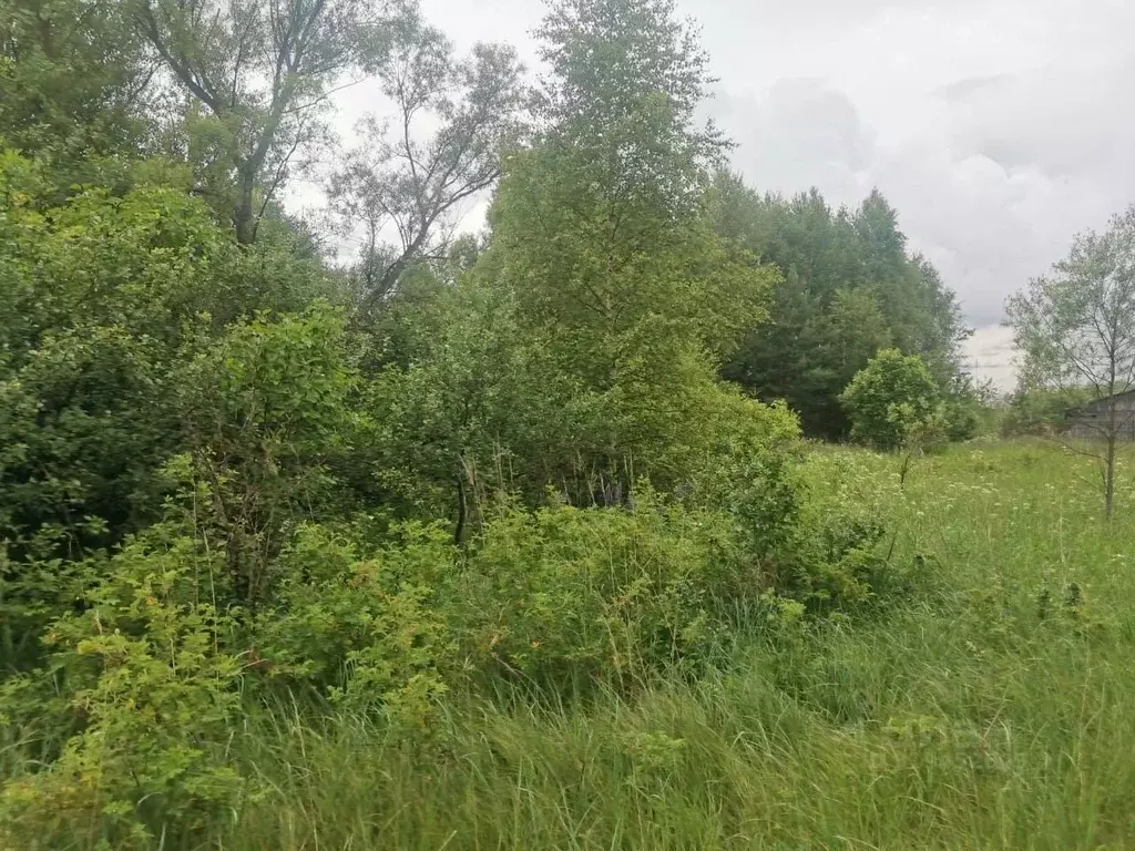 Участок в Московская область, Орехово-Зуевский городской округ, д. ... - Фото 0
