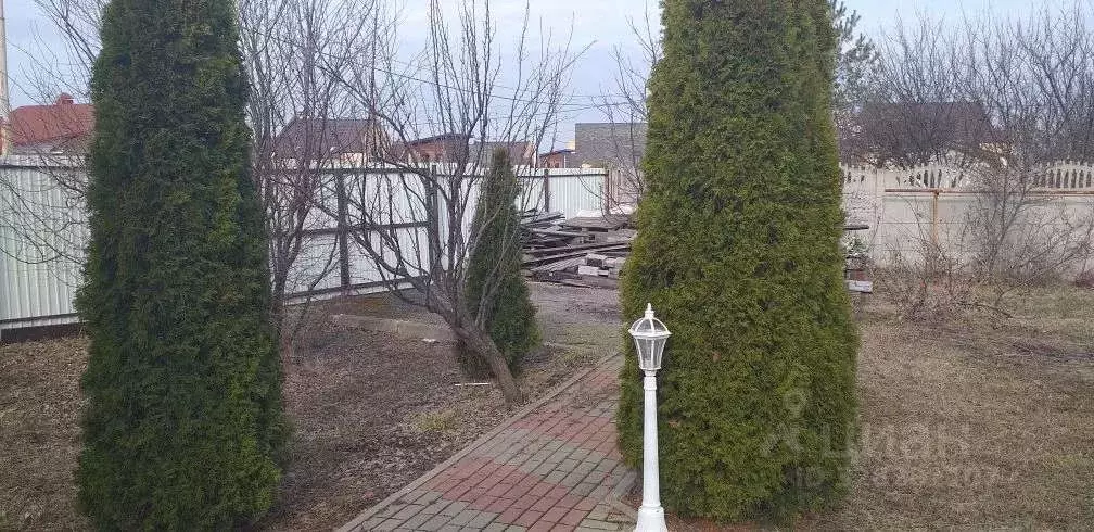 Участок в Белгородская область, Белгородский район, Новосадовское ... - Фото 2
