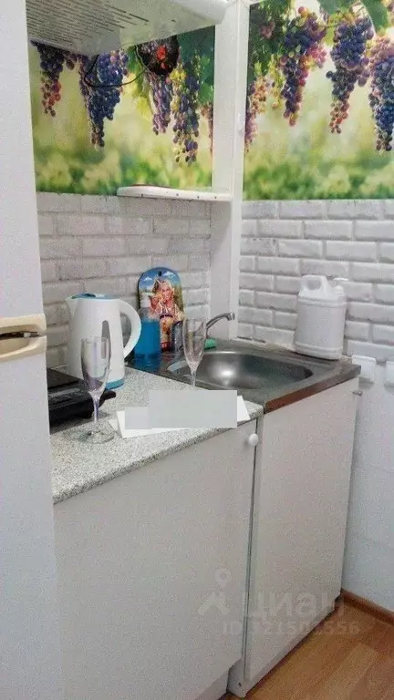 Студия Московская область, Электроугли Богородский городской округ, ... - Фото 2