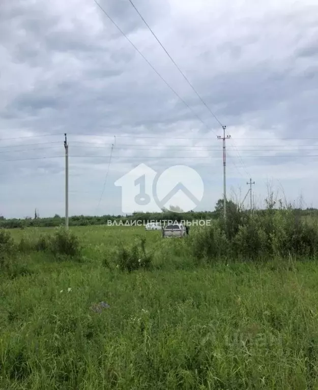 Участок в Новосибирская область, Колыванский район, Пять озер СНТ ... - Фото 1