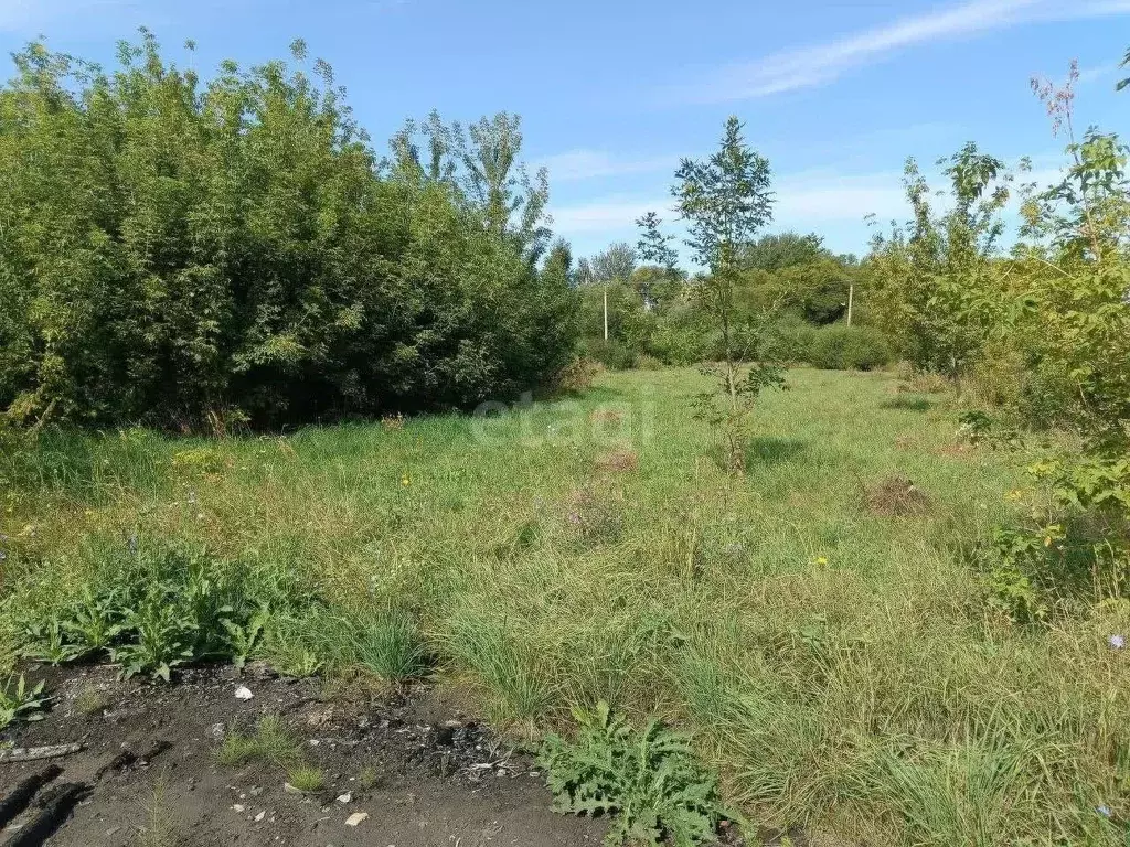 участок в белгородская область, губкинский городской округ, с. . - Фото 1