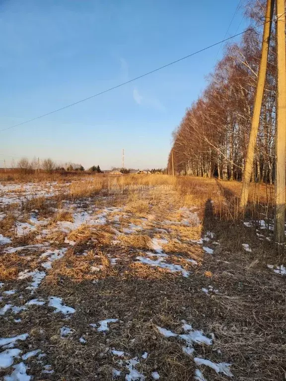 Участок в Владимирская область, Суздальский район, с. Новоалександрово ... - Фото 2