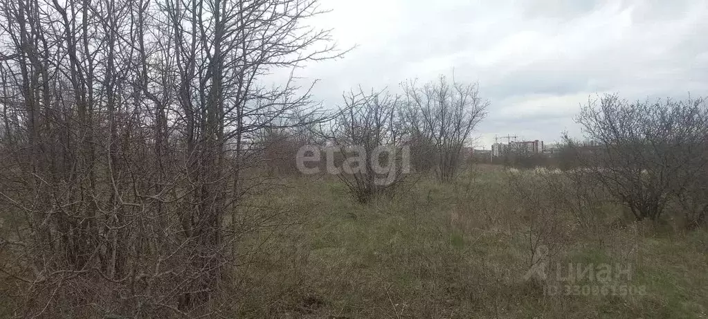 Участок в Белгородская область, Белгородский муниципальный округ, с. ... - Фото 1