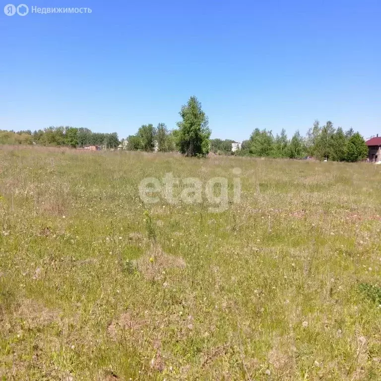 Участок в Щёкинский район, муниципальное образование Лазаревское, село ... - Фото 0