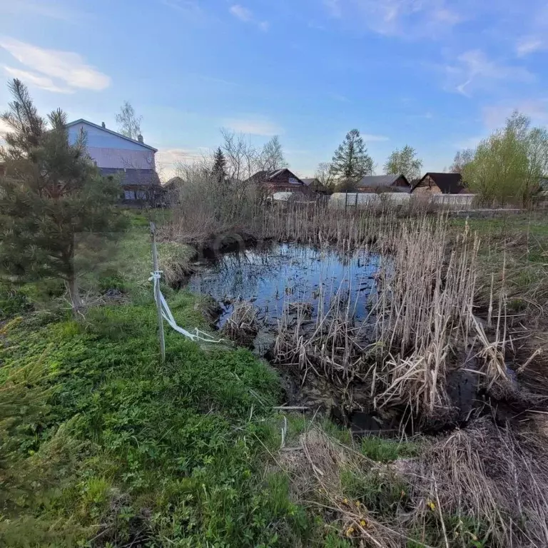 Участок в Новгородская область, Боровичи Перевалка мест., 17 (14.1 ... - Фото 0