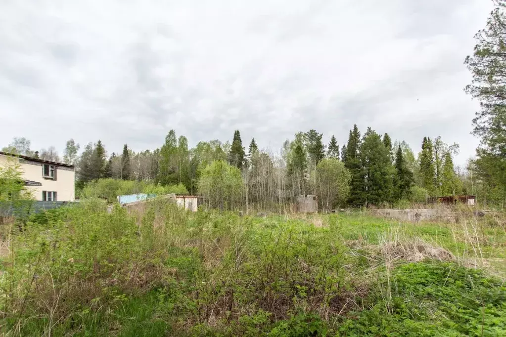 Участок в Тюменская область, Тобольск ул. Прибыльского (15.0 сот.) - Фото 1