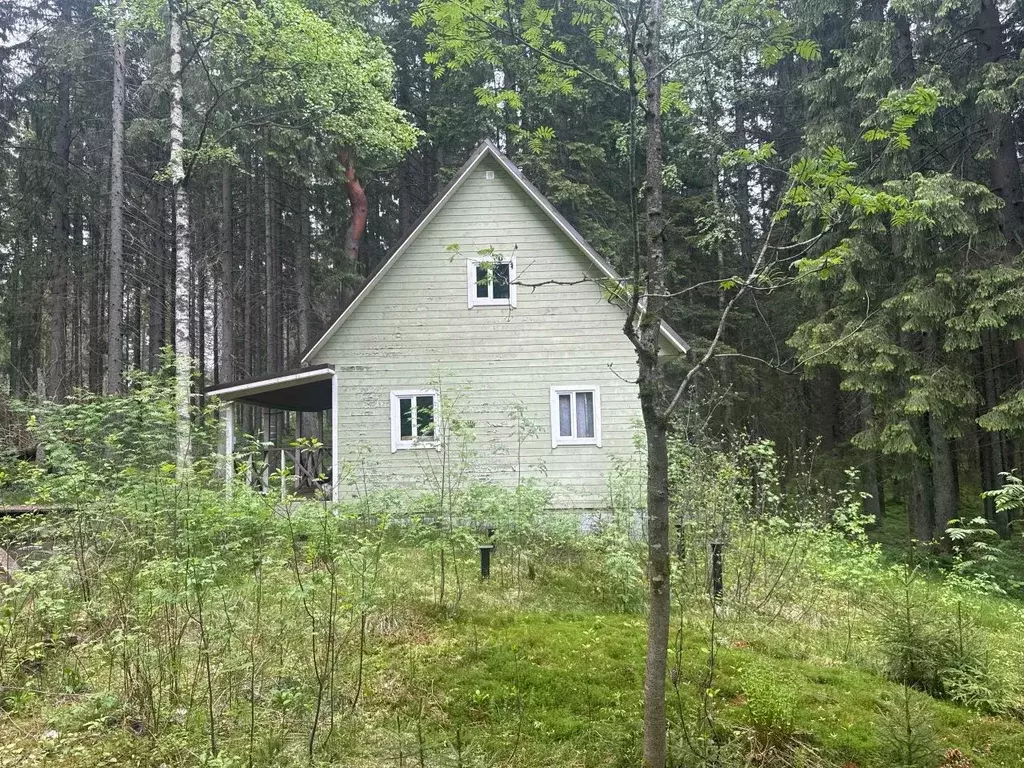 Участок в Ленинградская область, Выборгский район, Полянское с/пос, ... - Фото 2