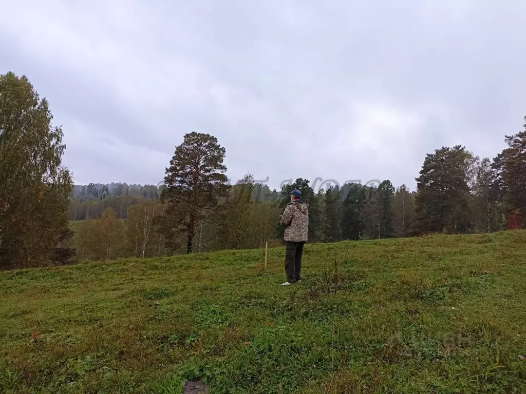 Участок в Алтай, Турочакский район, с. Турочак ул. Солнечная Поляна ... - Фото 1
