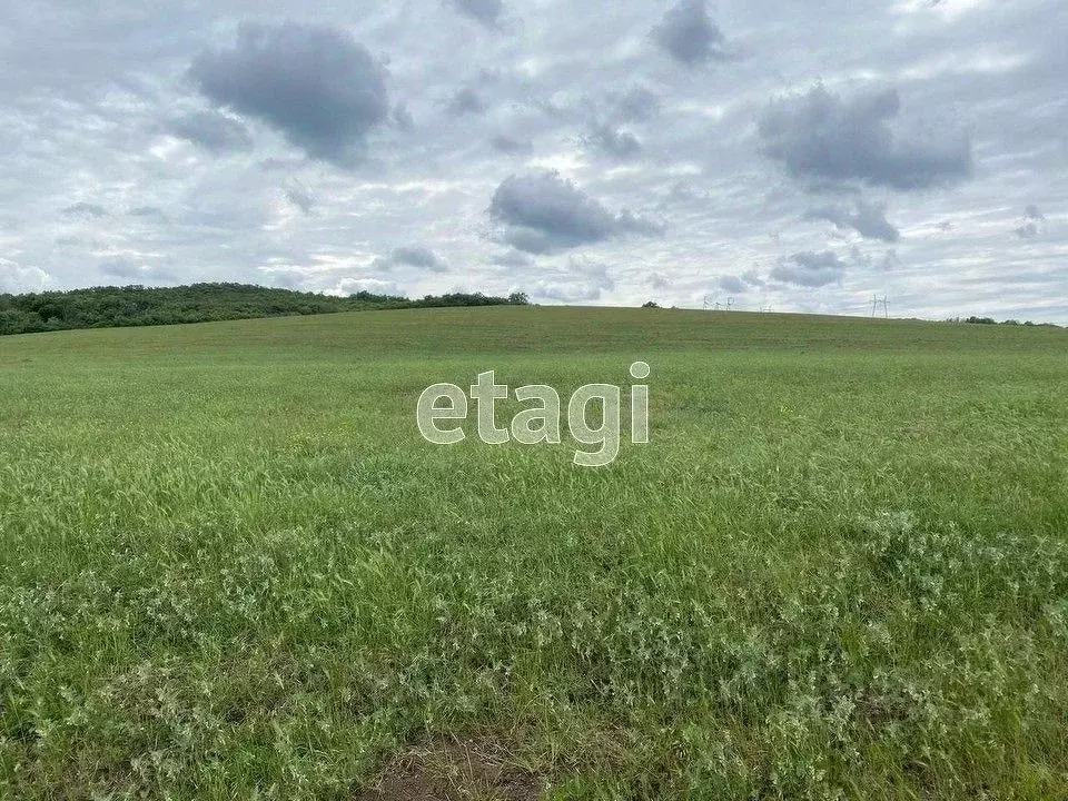 Участок в Свердловская область, Нижний Тагил с. Ольховка,  (10.0 сот.) - Фото 1