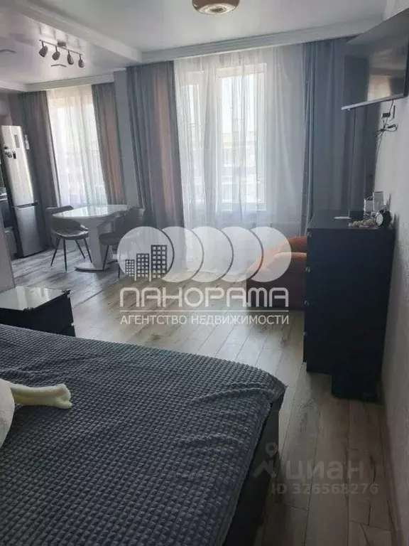 Студия Краснодарский край, Анапа Анапское ш., 24к5 (33.0 м) - Фото 2