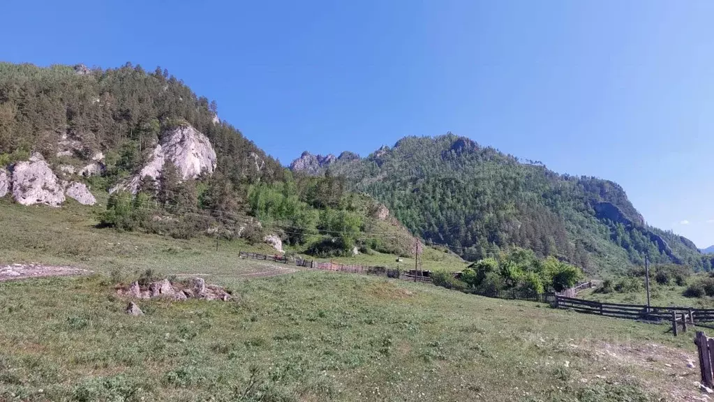 Участок в Алтай, Чемальский район, с. Еланда Новая ул. (24.0 сот.) - Фото 1