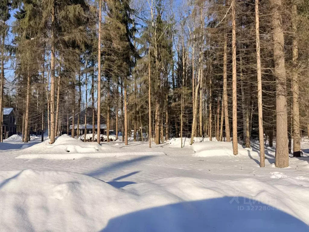 Участок в Московская область, Дмитровский муниципальный округ, д. ... - Фото 2