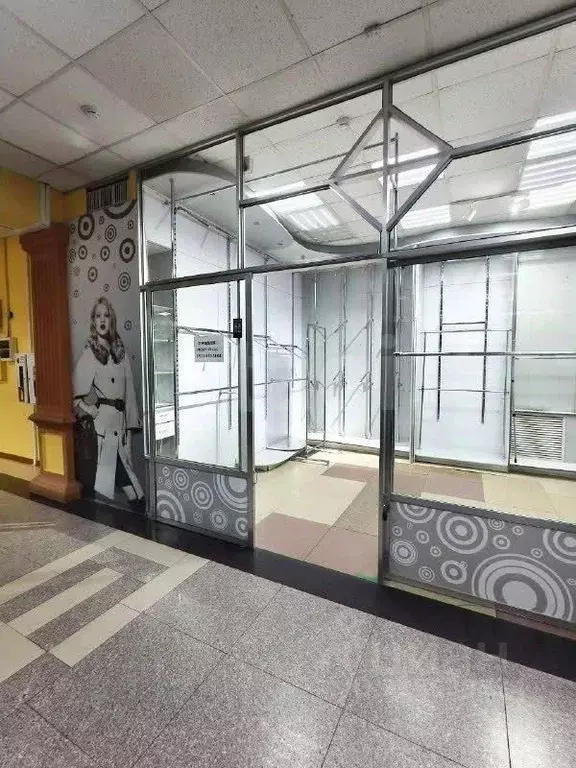 Торговая площадь в Амурская область, Благовещенск Красноармейская ул., ... - Фото 1