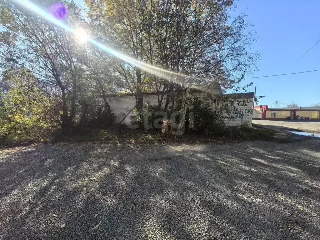 Торговая площадь в Камчатский край, Петропавловск-Камчатский просп. ... - Фото 2