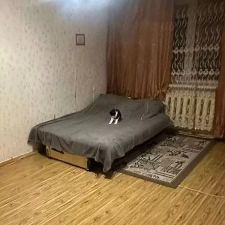 Продаётся 1-к квартира, 36.2 м - Фото 0