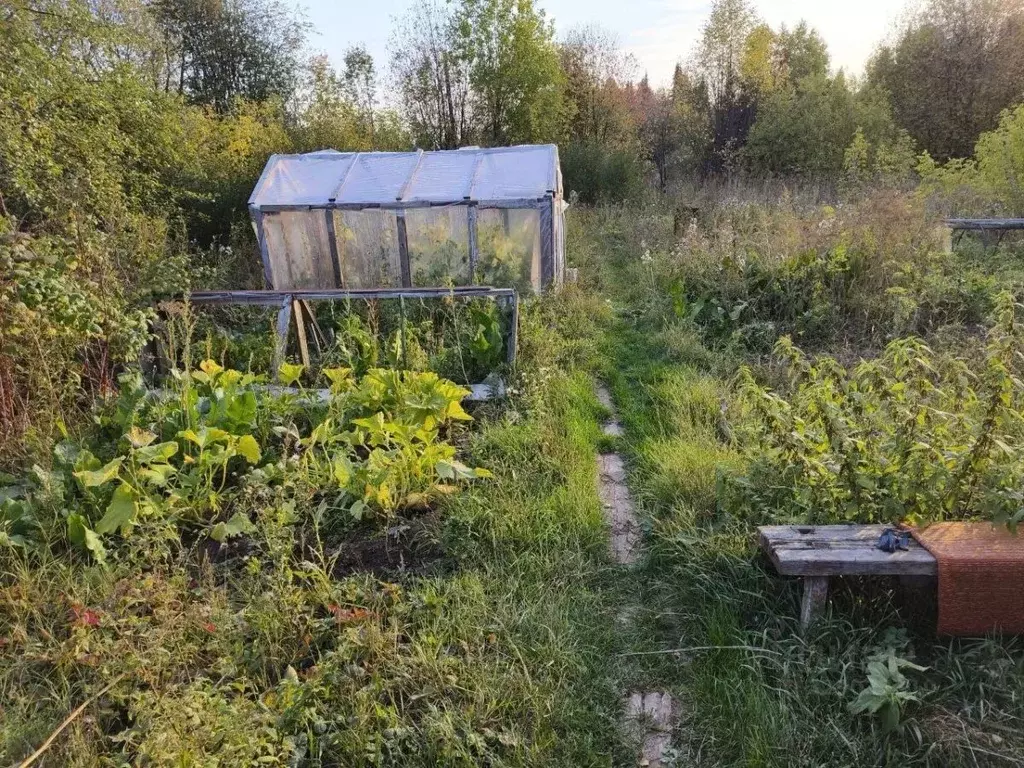 Дом в Пермский край, Пермский муниципальный округ, с. Бершеть Р-242, ... - Фото 1