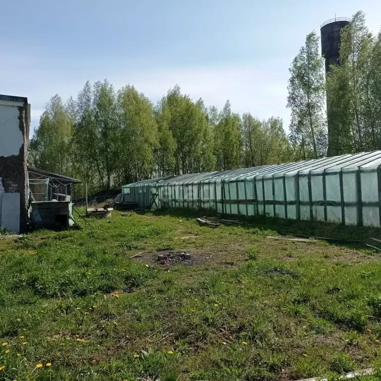 Участок в Костромская область, Костромской район, Бакшеевское с/пос, ... - Фото 2