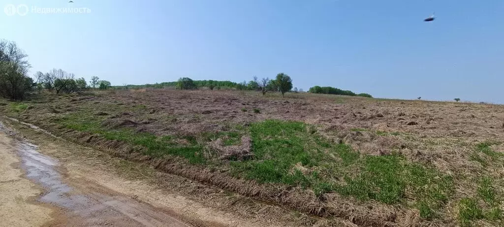 Участок в Приморский край, Арсеньев (400 м) - Фото 1