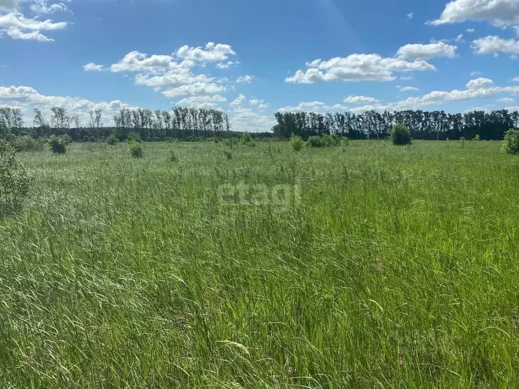 Участок в Московская область, Коломна городской округ, д. Шапкино  ... - Фото 1