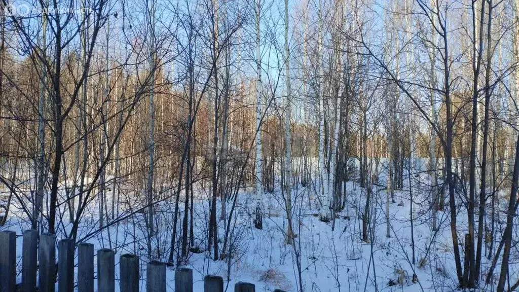 Участок в Свердловская область, Тугулымский муниципальный округ, ... - Фото 2