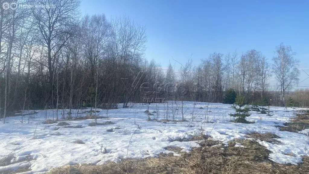 Участок в Одинцовский городской округ, деревня Борки (65 м) - Фото 2