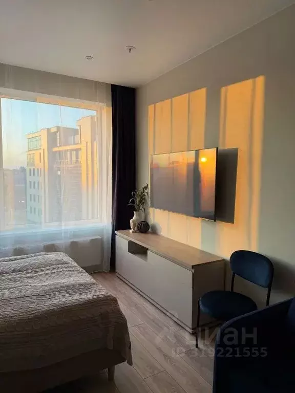 Студия Санкт-Петербург просп. Энергетиков, 8к2 (28.0 м) - Фото 1