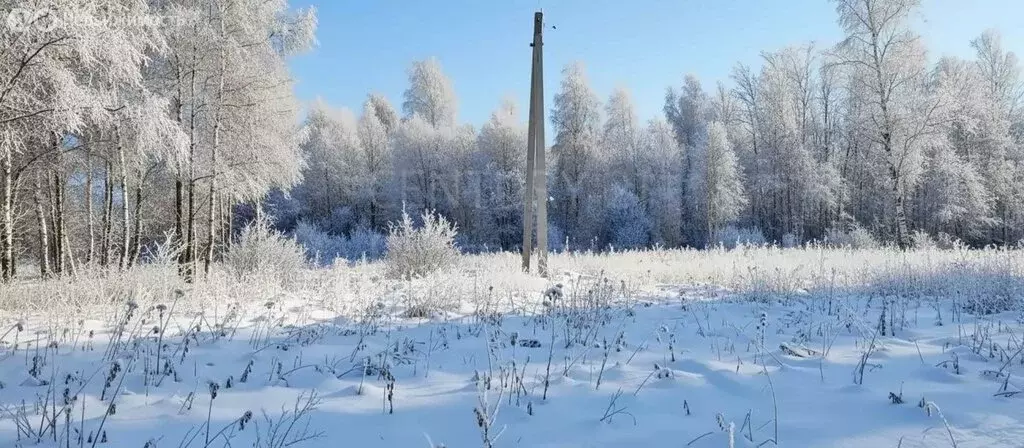 Участок в Шатура, Береговая улица (15 м) - Фото 2