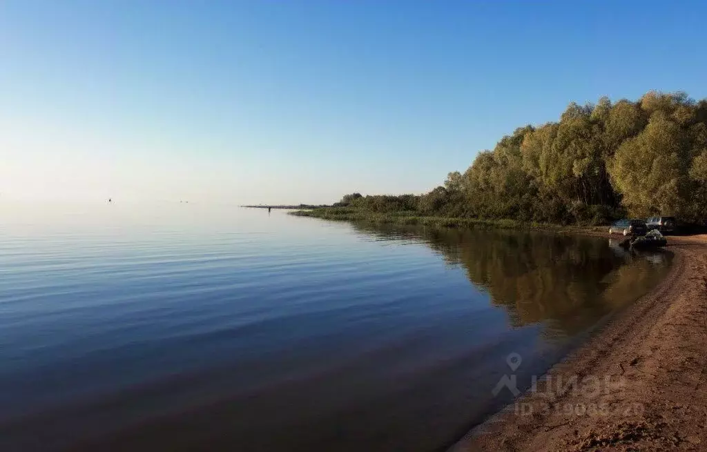 Участок в Новгородская область, Шимское городское поселение, д. Бор 7 ... - Фото 0
