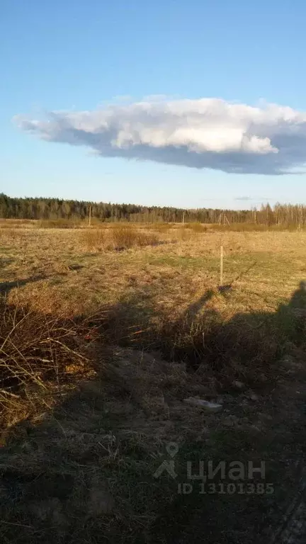 Участок в Новгородская область, Новгородский район, д. Сопки  (12.0 ... - Фото 0